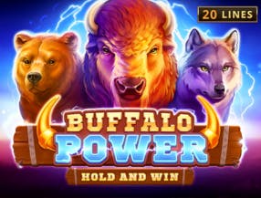 bet sport login